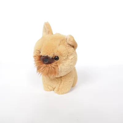 Peluche (Marron) de Aurora Polyester
