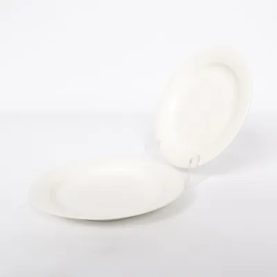Assiette (Arctica, arabia arctica plate, finnish design, scandinavian tableware, nordic ceramics, minimalist plate, white ceramic plate, iconic design, timeless tableware, iittala style, finnish home decor, modern dining, clean aesthetic, simple living, minimalist home, scandi interior, everyday luxury, quality ceramics, durable tableware, aesthetic kitchen, neutral decor, pinterest home, tiktok home decor, y2k home aesthetic, 2000s minimal, aesthetic dining, modern kitchen style) de Arabia