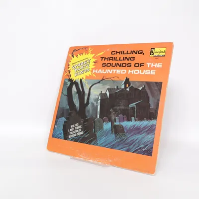 Vinylskiva från Disney Land