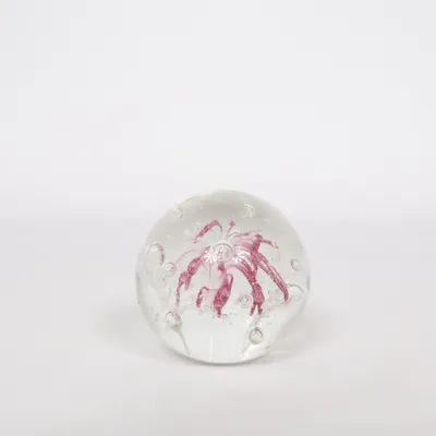 Brevpress (Transparent, Lila)