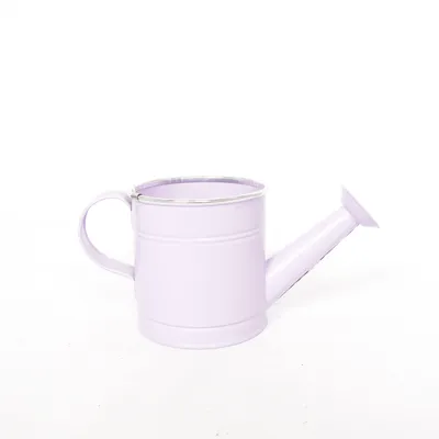 Arrosoir (Violet)