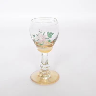 Snapseglas (Transparent, Flerfarvet)