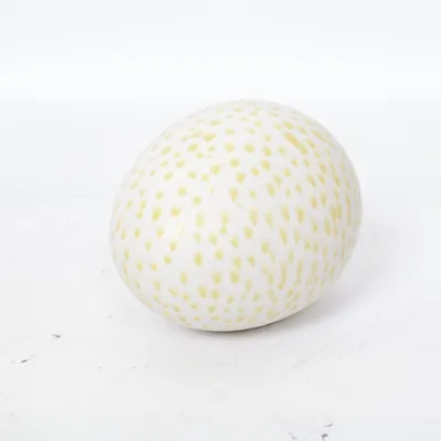 Easter decoration (White, Yellow) from Paradis Verkstan