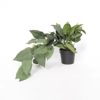 Plante artificielle (Vert) de Jysk