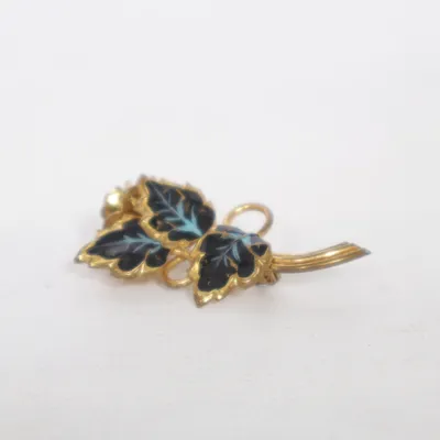 Broche (Goud, Meerkleurig) Onbekend materiaal