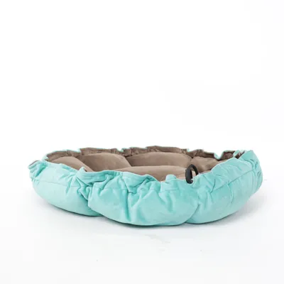 Pet bed (Turquoise, Brown)