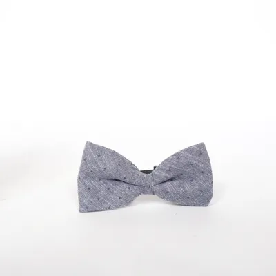 Noeud papillon (Bleu) de H&M Coton, Lin