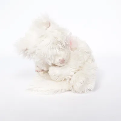 Peluche (Blanc, Rose) de Bukowski Design