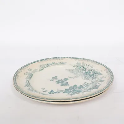 Teller (Flora) von Gustavsberg