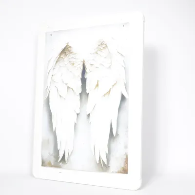 Wanddecoratie (Wit)