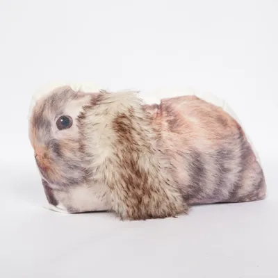 Sierkussen (Bruin, Meerkleurig) van Vivadomo Polyester