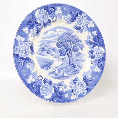 Plate (Blue, White)