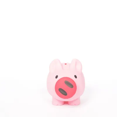 Money box (Pink)