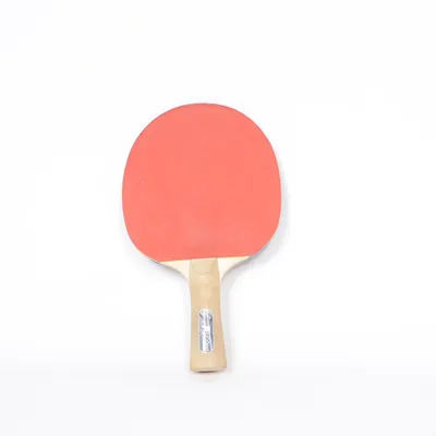 Raquette de tennis de table (Fighter) de Stiga