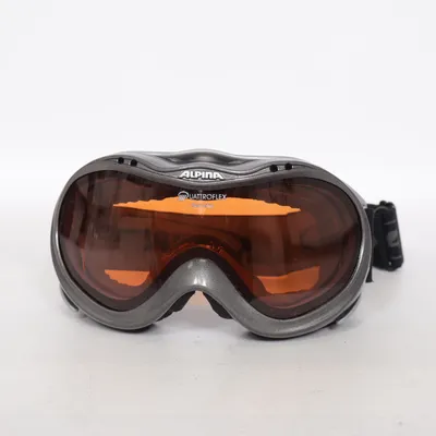 Skidglasögon (Grå) från Alpina
