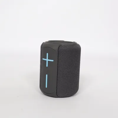 Haut-parleur Bluetooth (Gris)