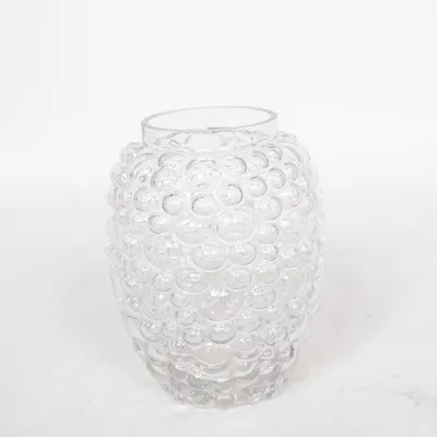 Vase (Transparent)