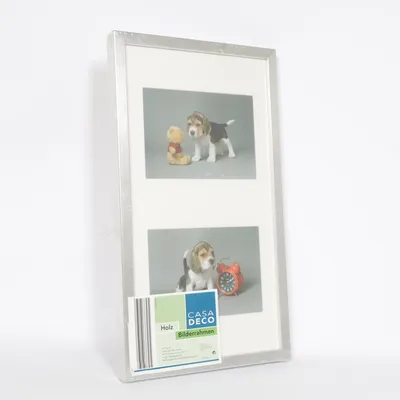 Frame (Silver) from Casa Deco