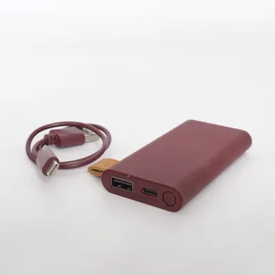 Powerbank (2PB3000RR v1 001) van Fresh 'n Rebel