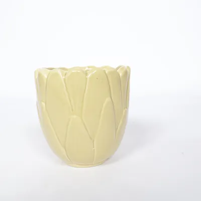 Pot (Yellow)