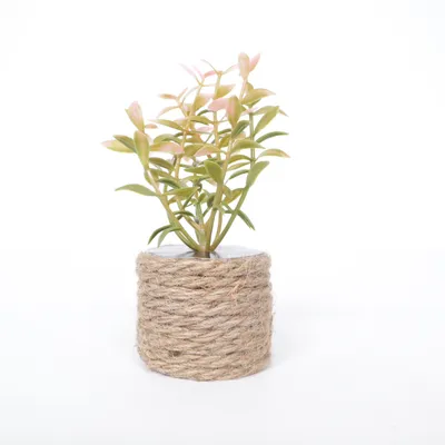 Plante artificielle (Rose, Vert, Marron)