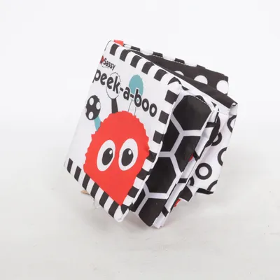 Baby toy (Peek-A-Boo) from Sassy