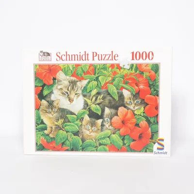 Puzzle de Schmidt