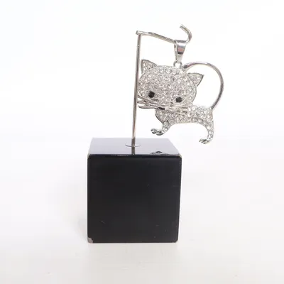 Hanger (Zilver, Meerkleurig) Onbekend materiaal