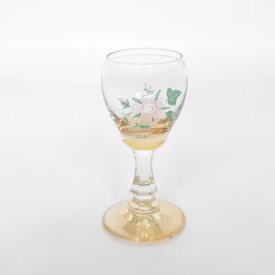 Snapseglas (Transparent, Flerfarvet)