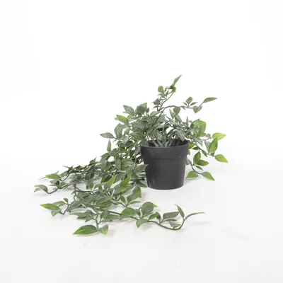 Artificial plant (Fejka) from IKEA