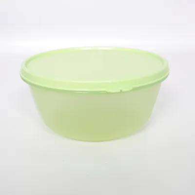 Lunch box (Green) from Tupperware