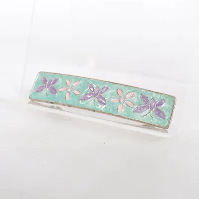 Haarclip (Turquoise, Meerkleurig)