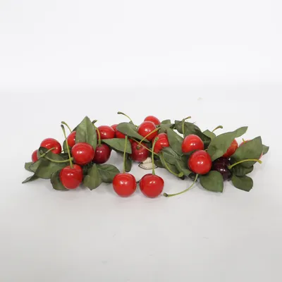 Artificial plant (Red, Green) from Sia