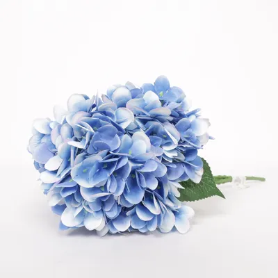 Artificial plant (Blue, Green, White) from Primark Home