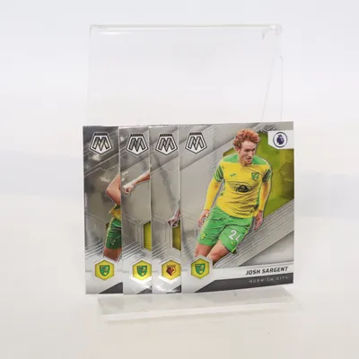 Samlarkort (Flerfärgad) från Panini