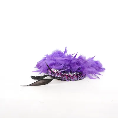 Accessoires de déguisement (Violet, Noir, Argent)