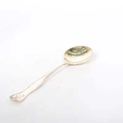 Spoon (Silver)