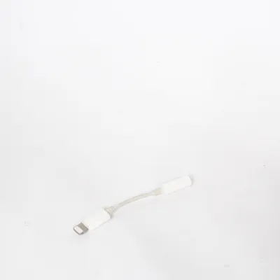 Câble AUX de Apple