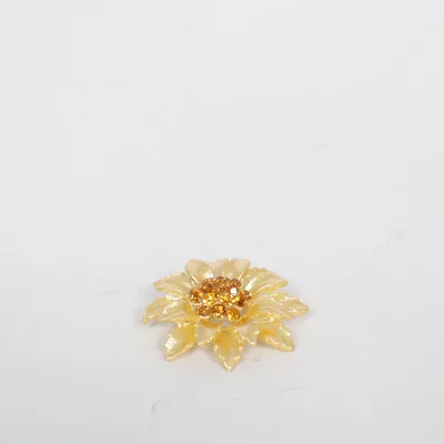 Broche (Or) Métal inconnu