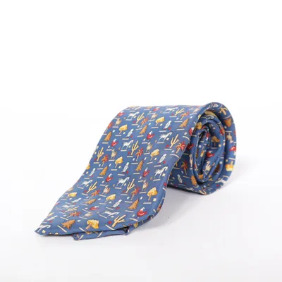 Cravate (Bleu, Multicolore) de Salvatore Ferragamo Soie