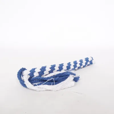 Jouet pour chien (Bleu, Blanc)
