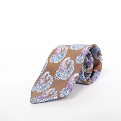 Tie (Brown, Multicolored) from Atwardson Silk