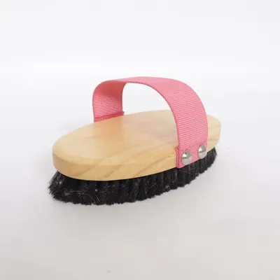 Paardenaccessoire (Kardätsche)