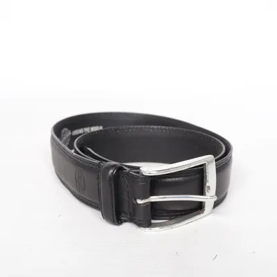 Bälte (SMB010100132) från Fossil