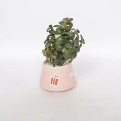 Konstgjord växt (Grön, Rosa)