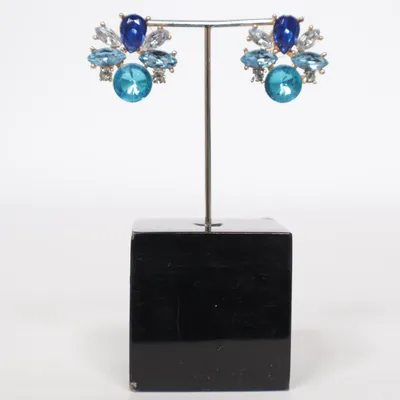Oorbellen (Blauw, Goud, Meerkleurig) Roestvrij staal