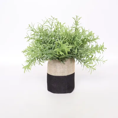 Kunstplant (Groen, Zwart, Beige)