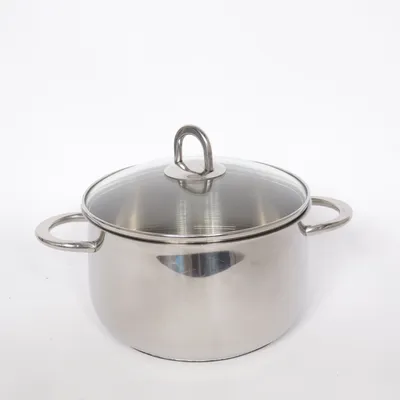 Braadpan (Zilver) van Fissler