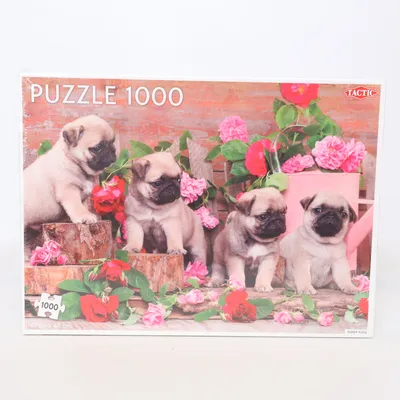 Puzzle from Tactic