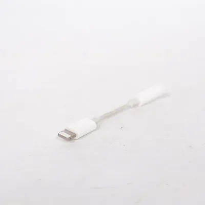 Adapter from Apple